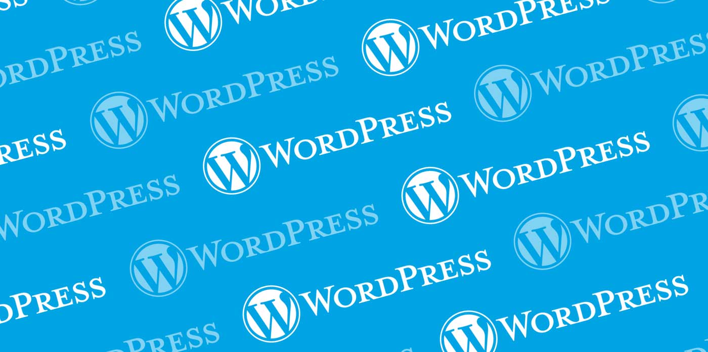 WordPress 10th Anniversary Infographic